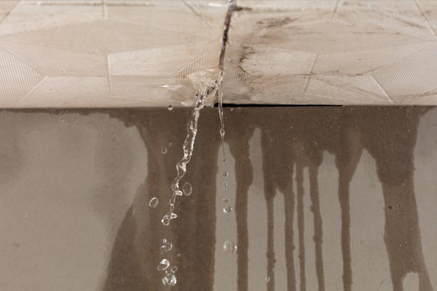 Professional Structural Drying technician working in Columbia, MS
